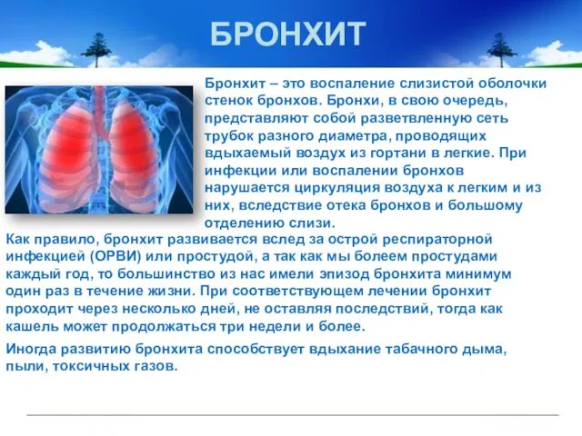 Бронхит – это воспаление слизистой оболочки стенок бронхов. Бронхи, в