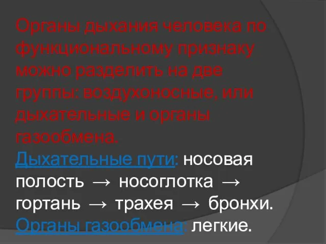 Органы дыхания человека по функциональному признаку можно разделить на две группы: воздухоносные, или