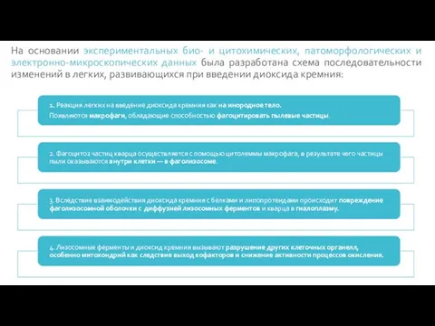 На основании экспериментальных био- и цитохимических, патоморфологических и электронно-микроскопических данных