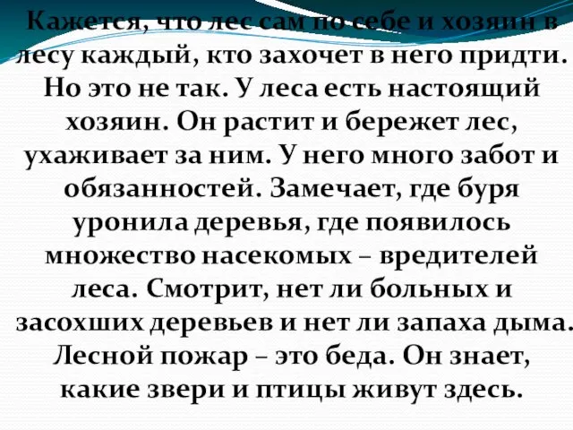 Кажется, что лес сам по себе и хозяин в лесу