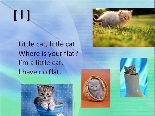 Little cat, little cat Where is your flat? I’m a