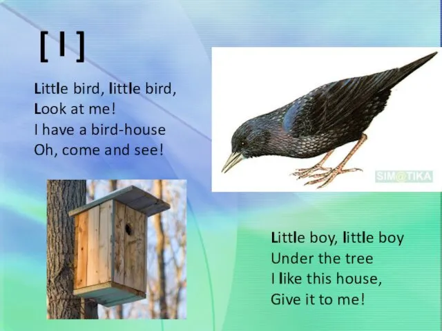 [ l ] Little bird, little bird, Look at me!