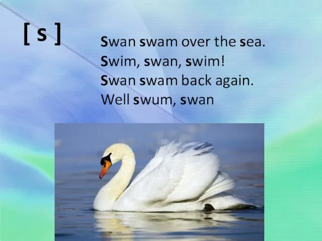 Swan swam over the sea. Swim, swan, swim! Swan swam