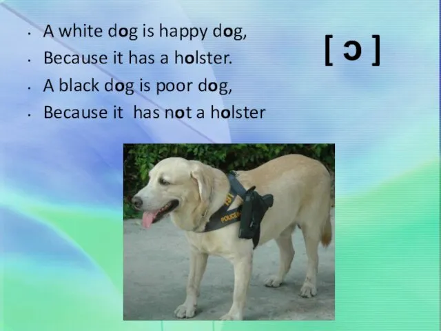 A white dog is happy dog, Because it has a