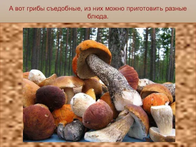 А вот грибы съедобные, из них можно приготовить разные блюда.