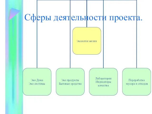 Сферы деятельности проекта.