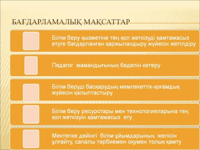 БАҒДАРЛАМАЛЫҚ МАҚСАТТАР