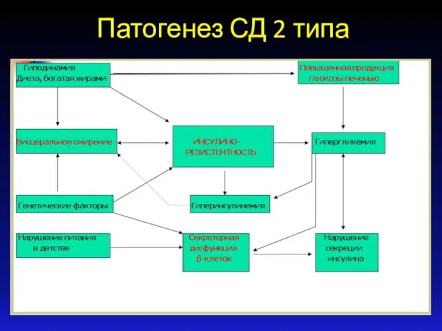 Патогенез СД 2 типа