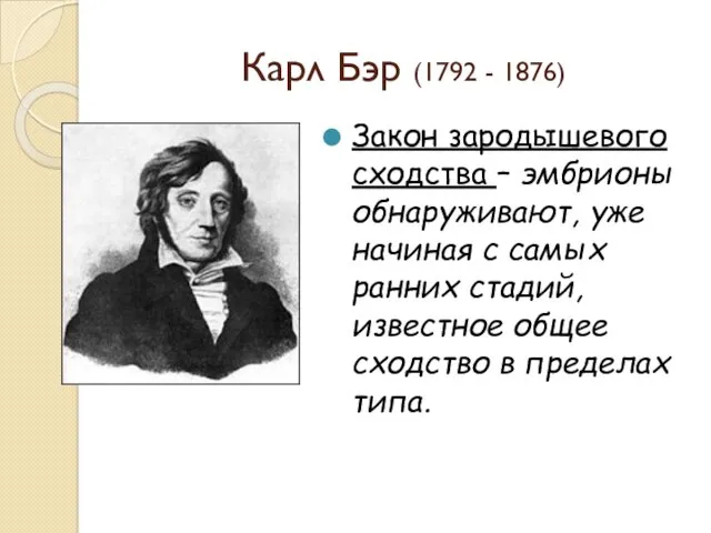 Карл Бэр (1792 - 1876) Закон зародышевого сходства – эмбрионы