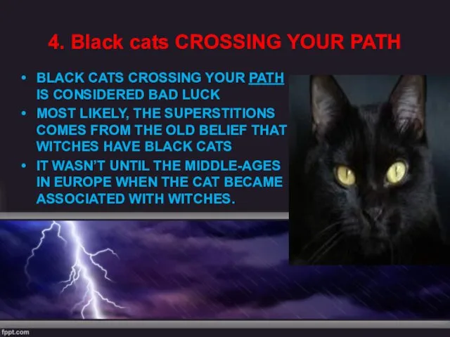 4. Black cats CROSSING YOUR PATH BLACK CATS CROSSING YOUR PATH IS CONSIDERED