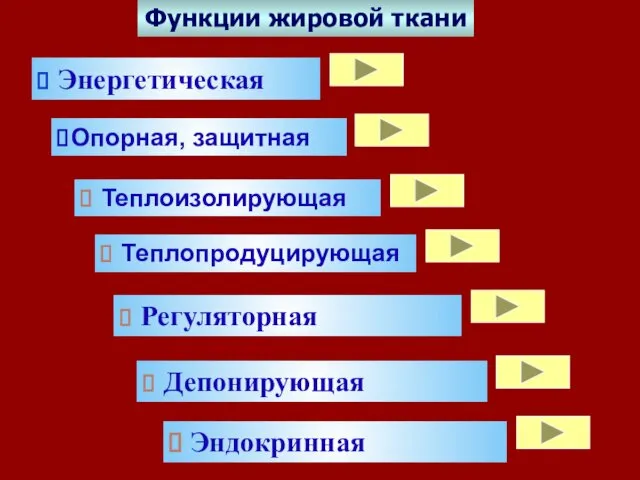 Функции жировой ткани Энергетическая Опорная, защитная Теплоизолирующая Теплопродуцирующая Регуляторная Депонирующая Эндокринная