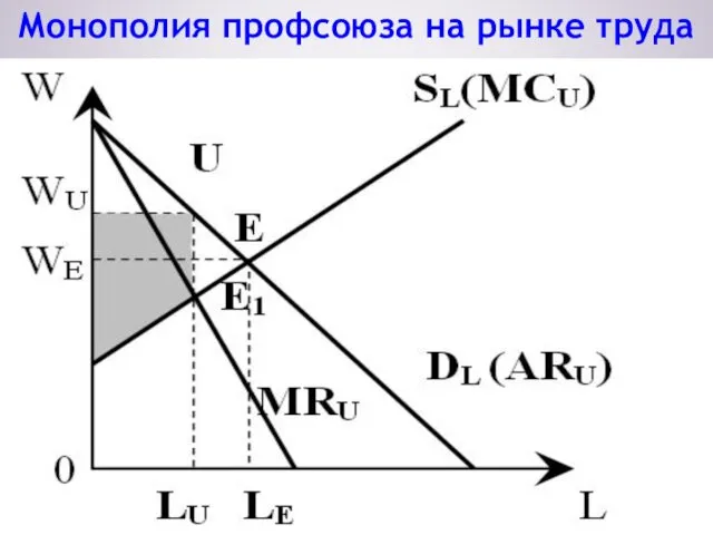 Монополия профсоюза на рынке труда