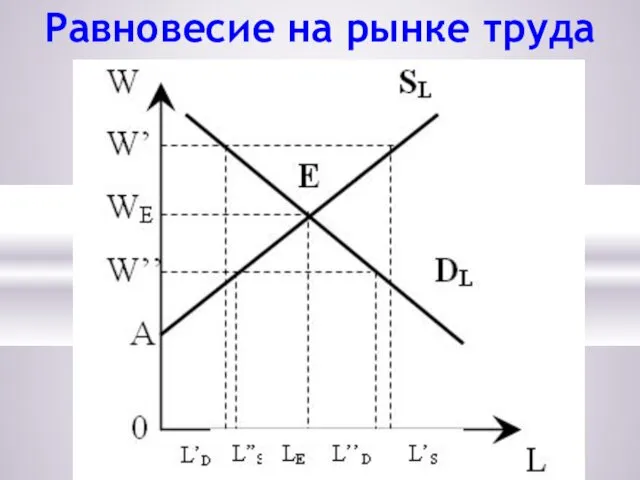 Равновесие на рынке труда