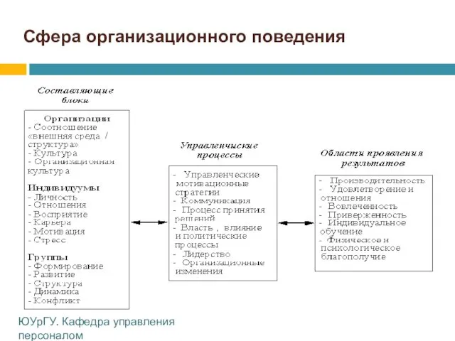 Сфера организационного поведения ЮУрГУ. Кафедра управления персоналом