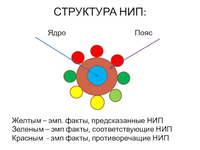 СТРУКТУРА НИП: Ядро Пояс Желтым – эмп. факты, предсказанные НИП