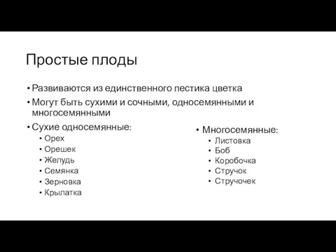 Простые плоды Развиваются из единственного пестика цветка Могут быть сухими