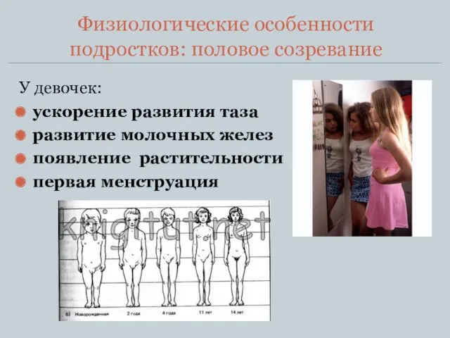 Физиологические особенности подростков: половое созревание У девочек: ускорение развития таза