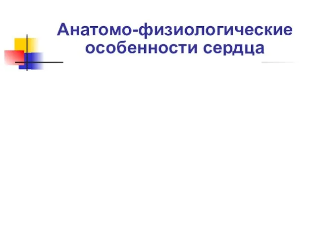 Анатомо-физиологические особенности сердца