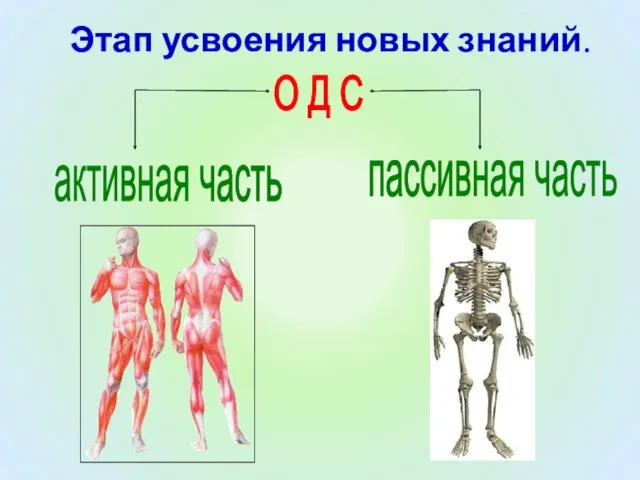 О Д С активная часть пассивная часть Этап усвоения новых знаний.