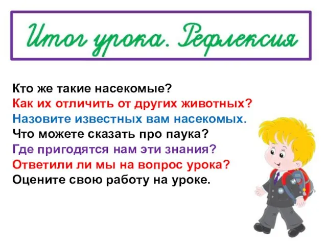 Кто же такие насекомые? Как их отличить от других животных? Назовите известных вам