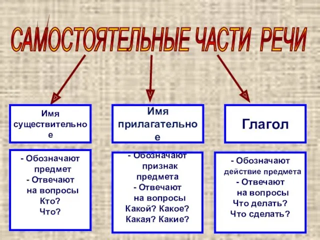 САМОСТОЯТЕЛЬНЫЕ ЧАСТИ РЕЧИ Имя прилагательное Имя существительное Глагол - Обозначают