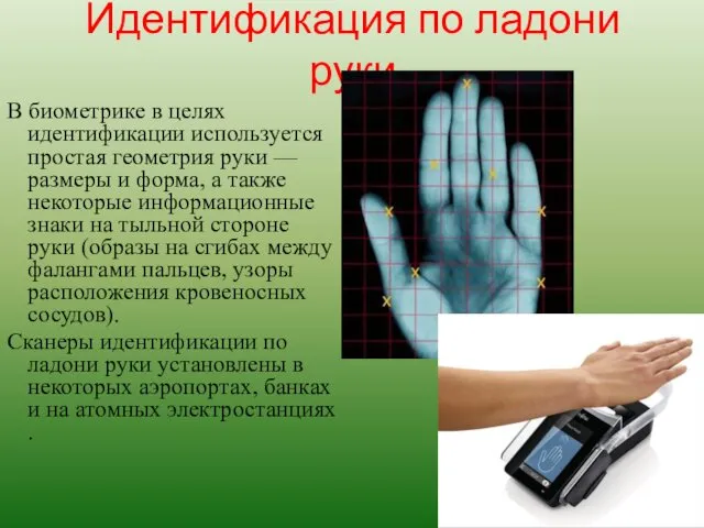 Идентификация по ладони руки В биометрике в целях идентификации используется