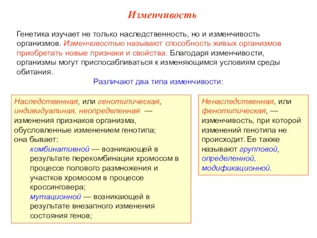 Изменчивость Генетика изучает не только наследственность, но и изменчивость организмов.