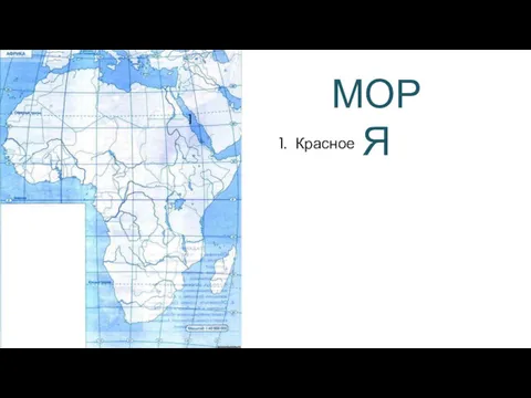 МОРЯ 1. Красное 1