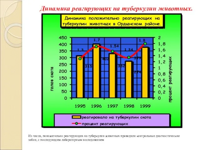 Динамика реагирующих на туберкулин животных. Из числа, положительно реагирующих на