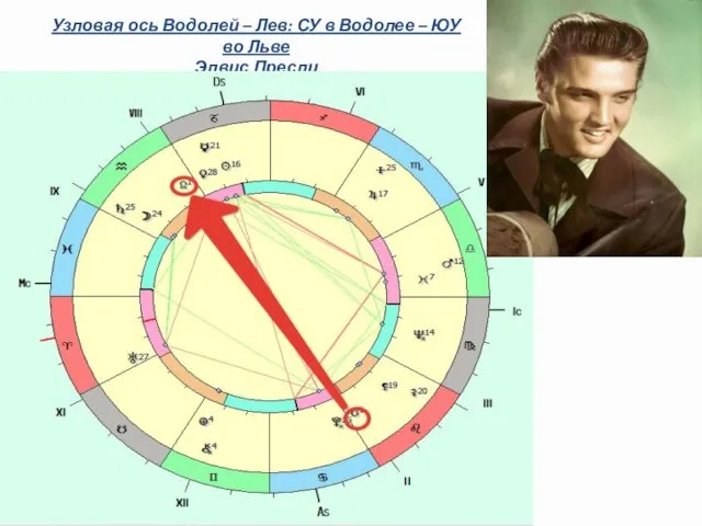 Узловая ось Водолей – Лев: СУ в Водолее – ЮУ во Льве Элвис Пресли