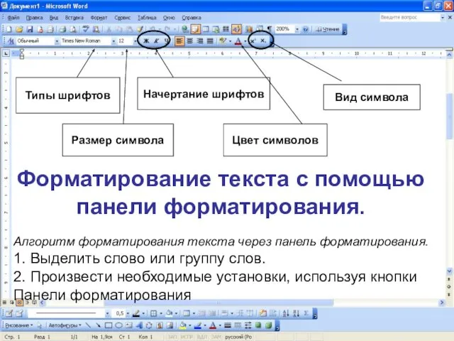 Форматирование текста с помощью панели форматирования. Типы шрифтов Размер символа