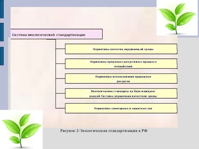 Рисунок 2-Экологическая стандартизация в РФ
