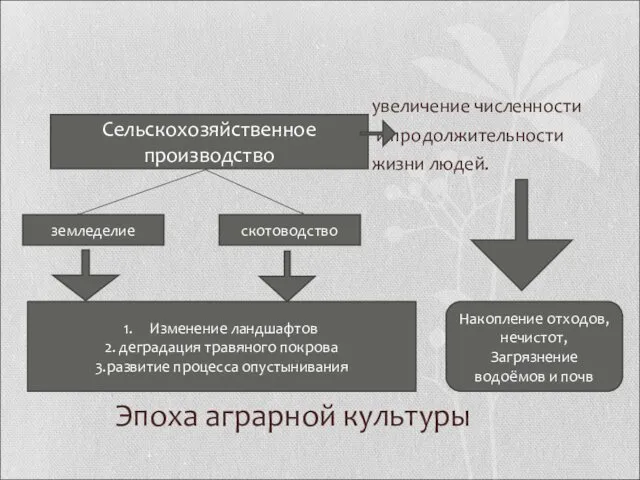 Эпоха аграрной культуры увеличение численности и продолжительности жизни людей. Сельскохозяйственное