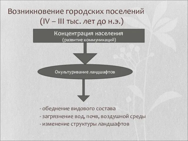 Возникновение городских поселений (IV – III тыс. лет до н.э.)