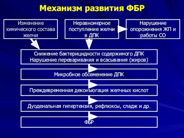 Механизм развития ФБР Изменение химического состава желчи Неравномерное поступление желчи