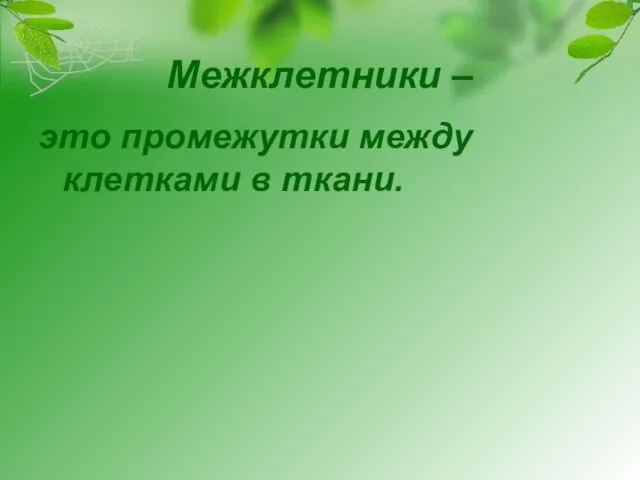 Межклетники – это промежутки между клетками в ткани.