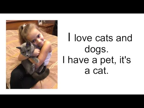 I love cats and dogs. I have a pet, it's a cat.