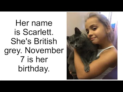 Her name is Scarlett. She's British grey. November 7 is her birthday.