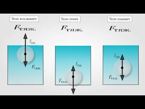 Тело всплывает Тело тонет Тело плавает