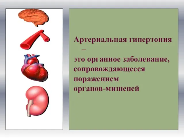 Артериальная гипертония – это органное заболевание, сопровождающееся поражением органов-мишеней