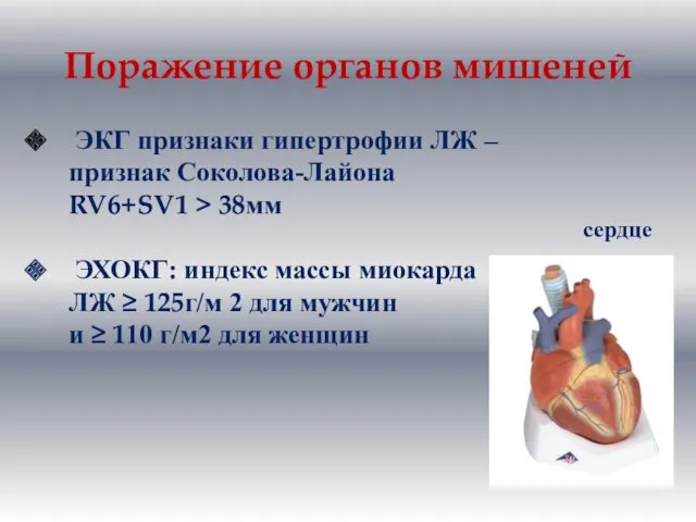Поражение органов мишеней ЭКГ признаки гипертрофии ЛЖ – признак Соколова-Лайона
