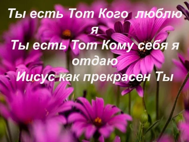 Ты есть Тот Кого люблю я Ты есть Тот Кому