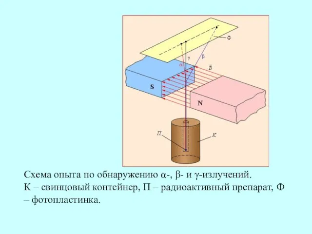 Схема опыта по обнаружению α-, β- и γ-излучений. К –