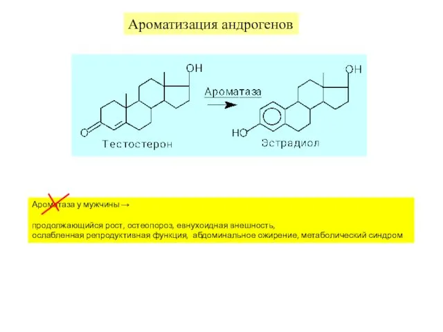Ароматизация андрогенов Ароматаза у мужчины → продолжающийся рост, остеопороз, евнухоидная