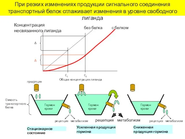 Общая концентрация лиганда Концентрация несвязанного лиганда Δ C1 C2 Δ