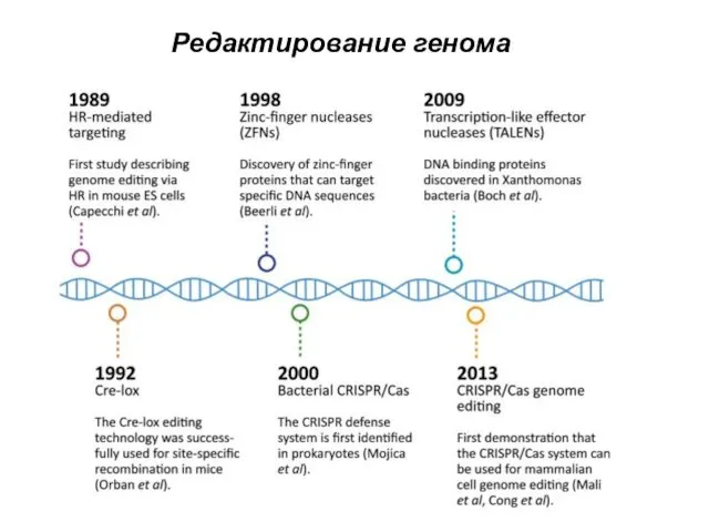 Редактирование генома