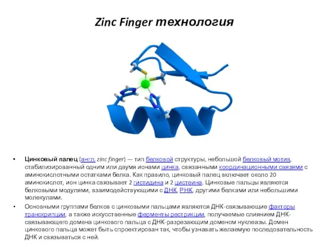 Zinc Finger технология Цинковый палец (англ. zinc finger) — тип белковой структуры, небольшой