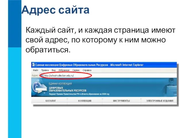 Адрес сайта Каждый сайт, и каждая страница имеют свой адрес, по которому к ним можно обратиться.