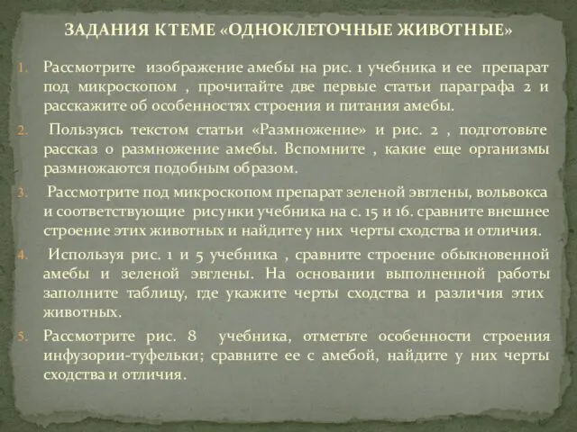 ЗАДАНИЯ К ТЕМЕ «ОДНОКЛЕТОЧНЫЕ ЖИВОТНЫЕ» Рассмотрите изображение амебы на рис.