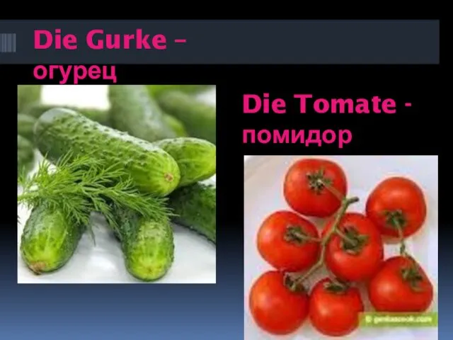 Die Gurke –огурец Die Tomate -помидор